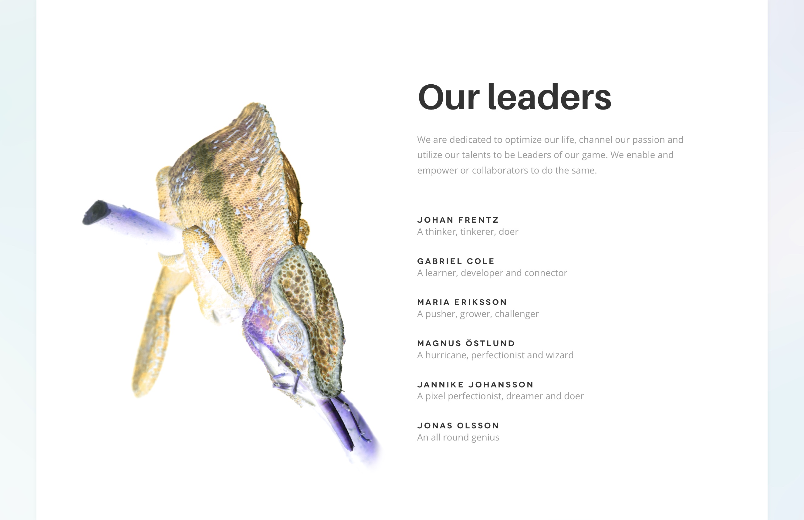 Lead XD web page design leader presentations